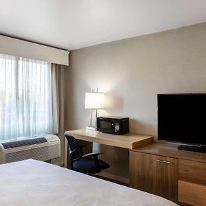 King Room Bath Tub Mobility Accessible
